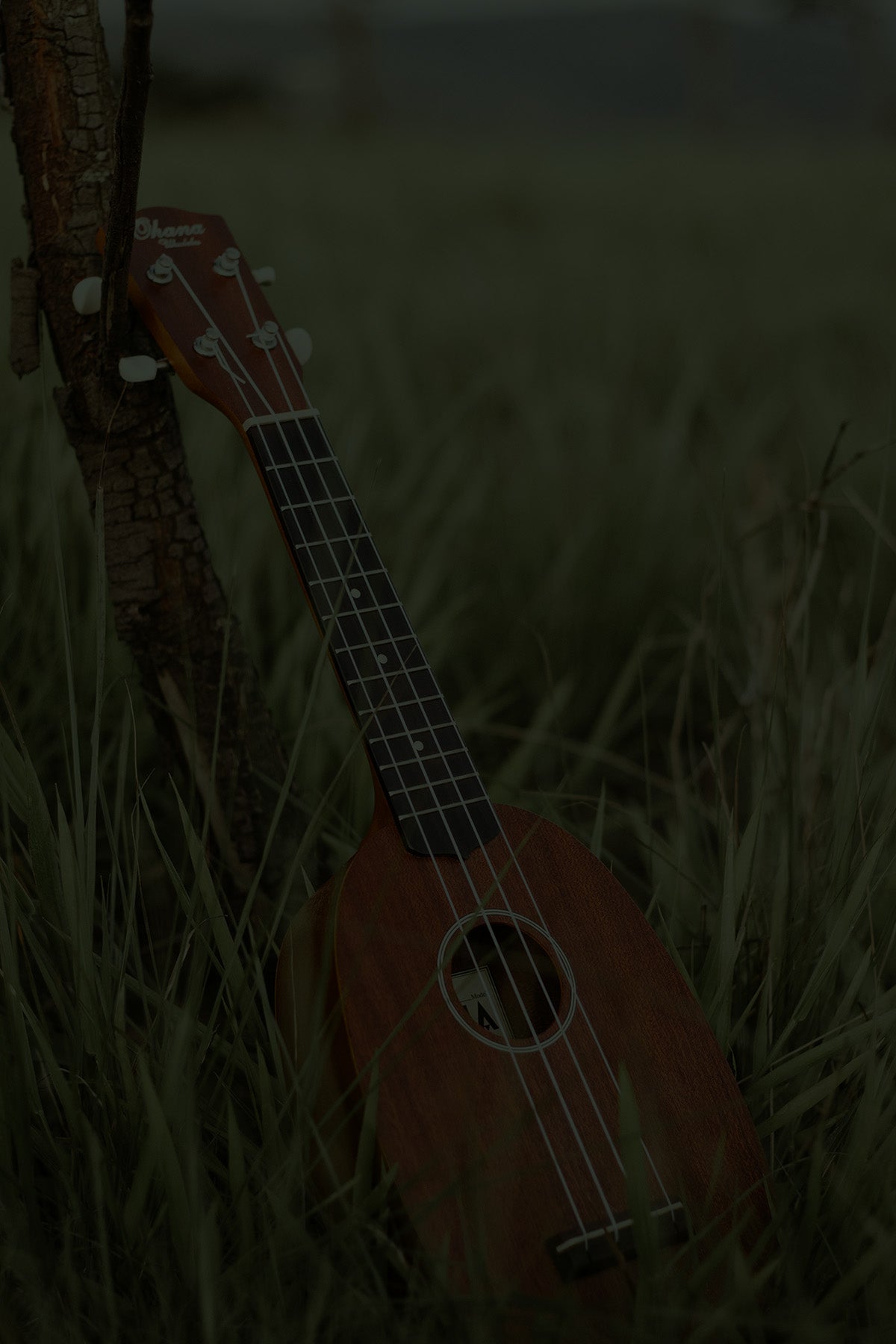 A lute resting in tall grass, expressing the creativity and storytelling energy of the Bard collection by Fabled Fox Clothiers.